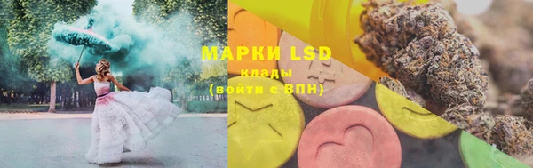 индика Кинешма