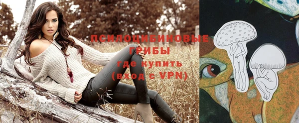 индика Кинешма