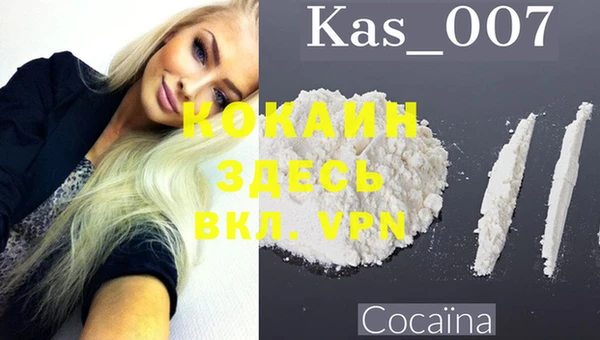 стафф Козельск