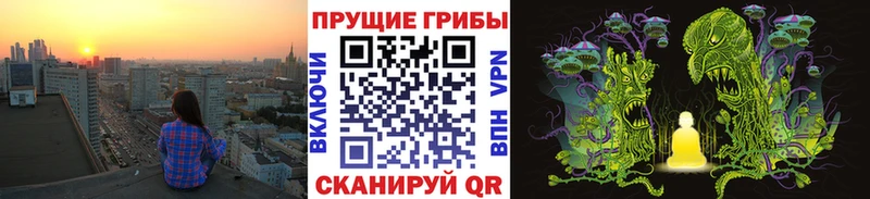 Купить  Новопавловск  Галлюциногенные грибы мицелий 